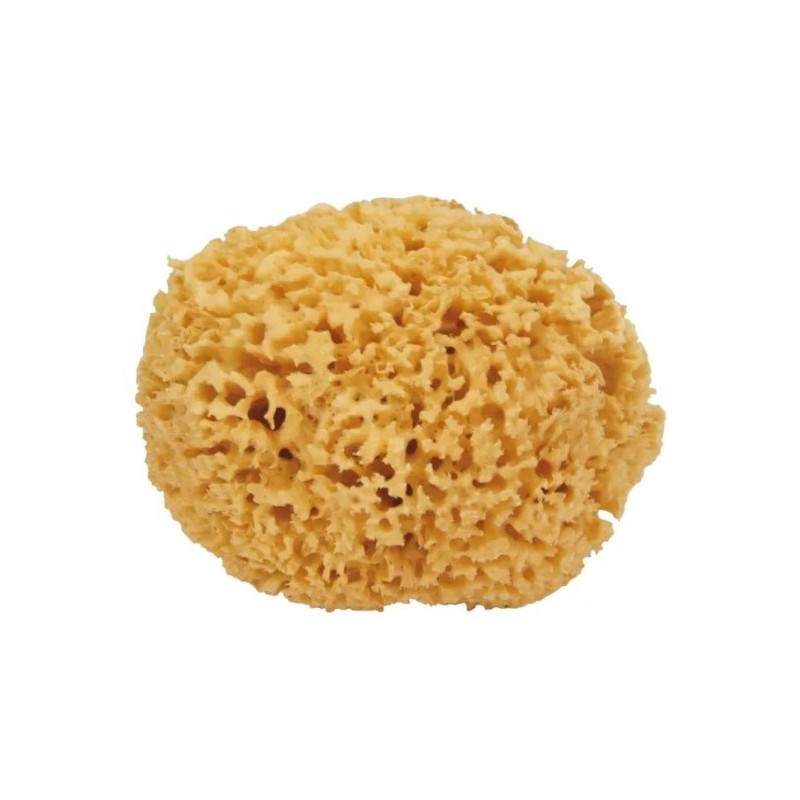 Spugna naturale maxi