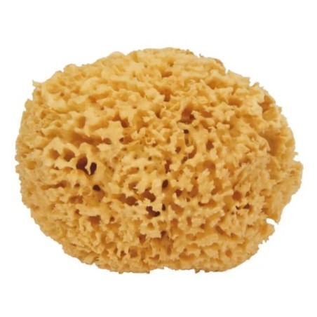 Spugna naturale maxi