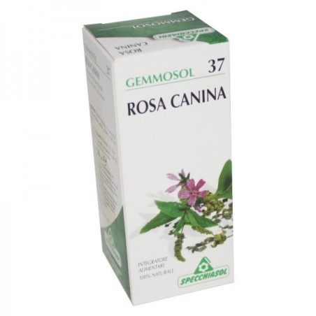 Gemmosol 37 rosa canina 50ml