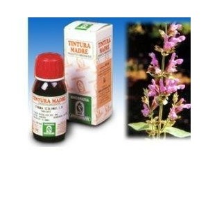 Salvia 25 50ml tm