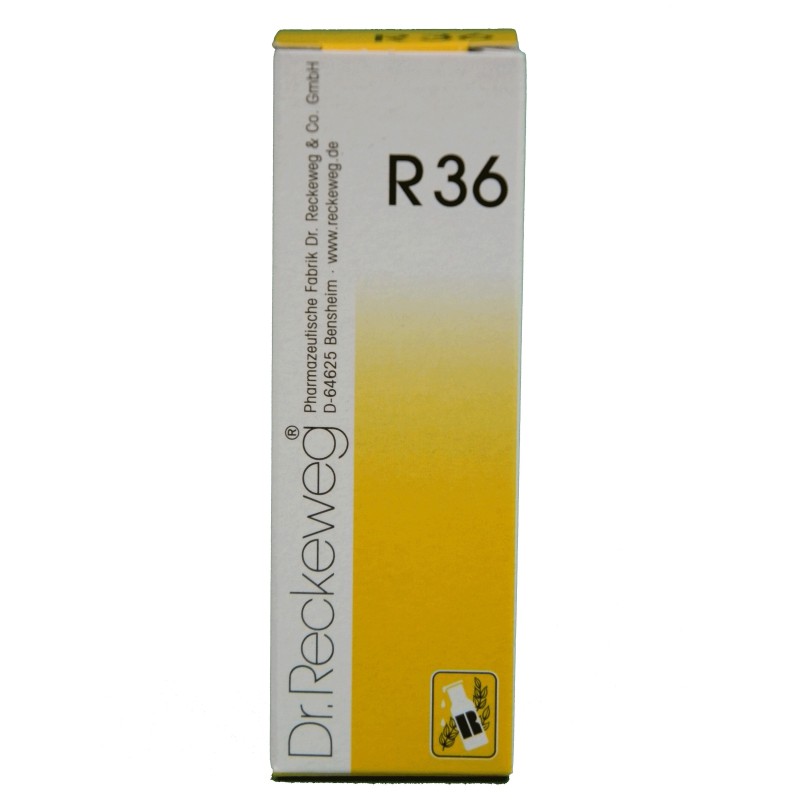 Reckeweg r36 gocce 22 ml