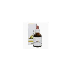 Rubus idaeus 100 ml macerato glicerico