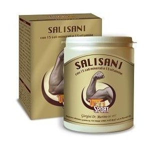 Salisani vitaminsport 360 g polvere
