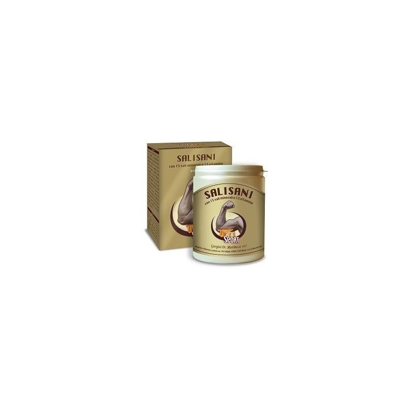 Salisani vitaminsport 360 g polvere