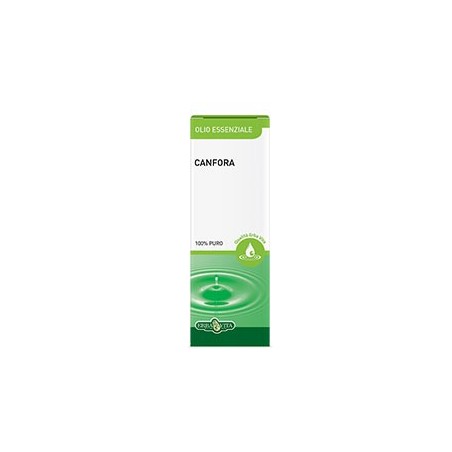 Canfora olio essenziale 10 ml
