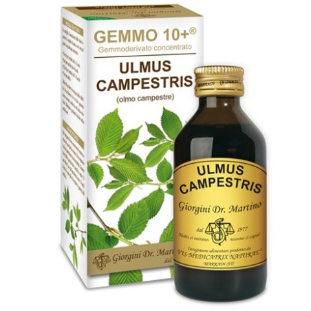 Gemmo 10+ olmo campestre 100 ml liquido analcolico Gemmo 10+ olmo campestre 100 ml liquido analcolico