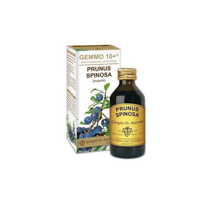 Gemmo 10+ prugnolo 100 ml liquido analcolico
