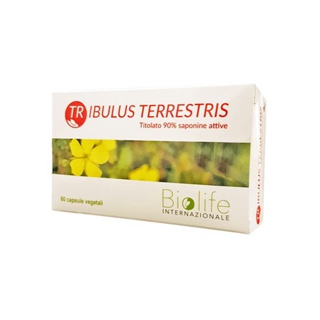 Tribulus terrestris 60 capsule