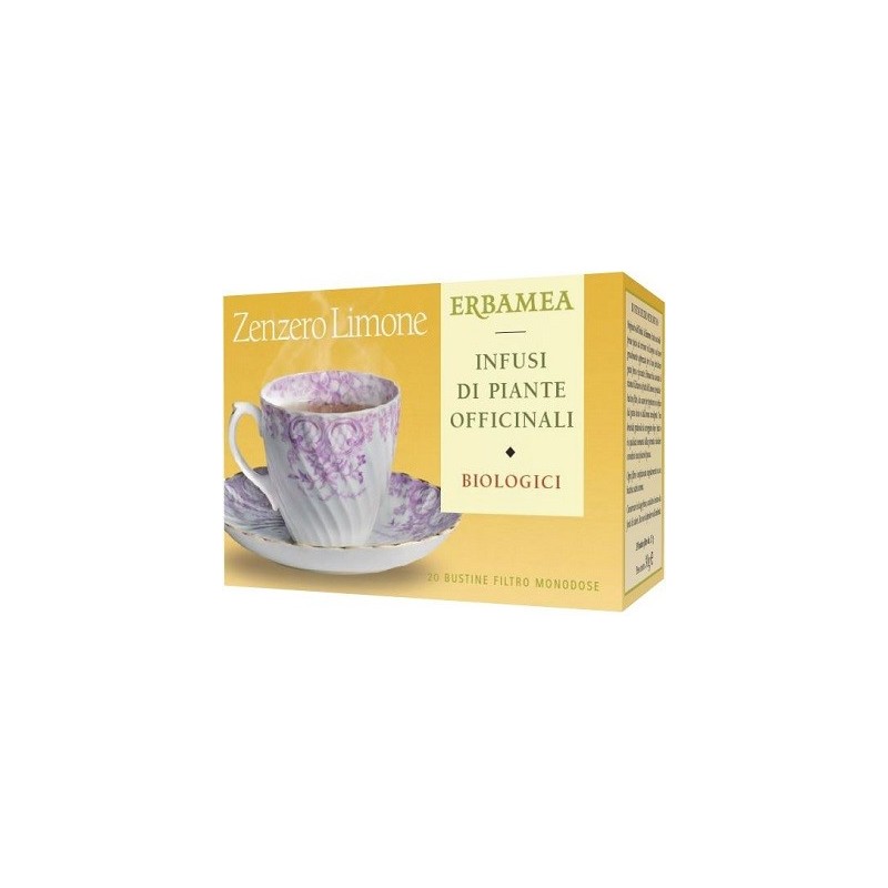 Zenzero/lim bio 20 bustine 30 g