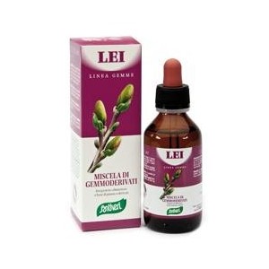 Zefirus lei linea gemme