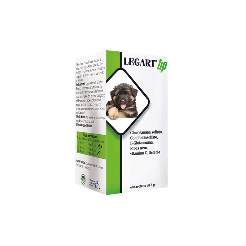 Legart up 60 compresse da 1 g