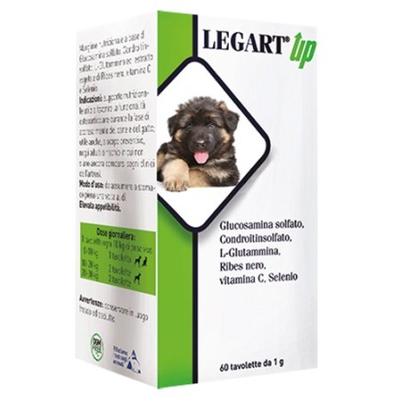 Legart up 60 compresse da 1 g