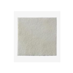 Medicazione biatain alginate in alginato e carbossimetilcellulosa 15x15 cm 10 pezzi