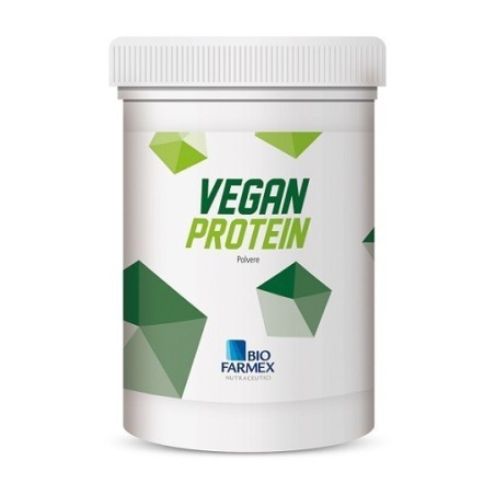 Vegan protein 500 g