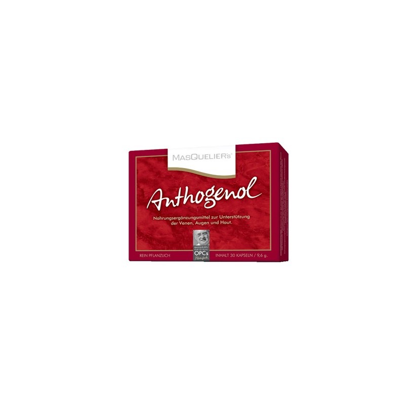 Opc masquelier anthogenol 30 capsule