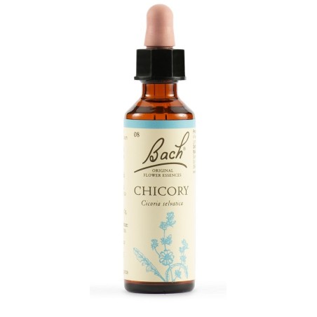 Chicory bach orig 20 ml