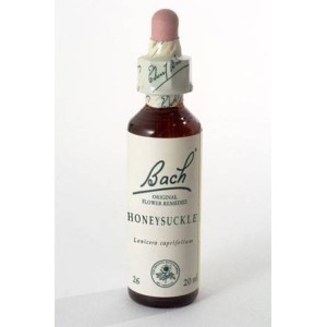 Honeysuckle bach orig 20 ml