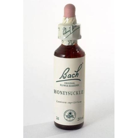 Honeysuckle bach orig 20 ml Honeysuckle bach orig 20 ml