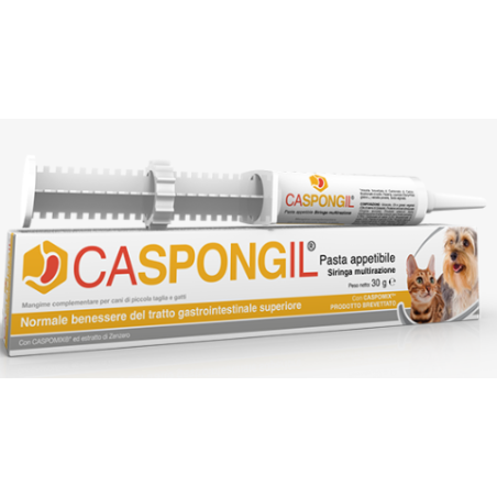Caspongil pasta 30 g