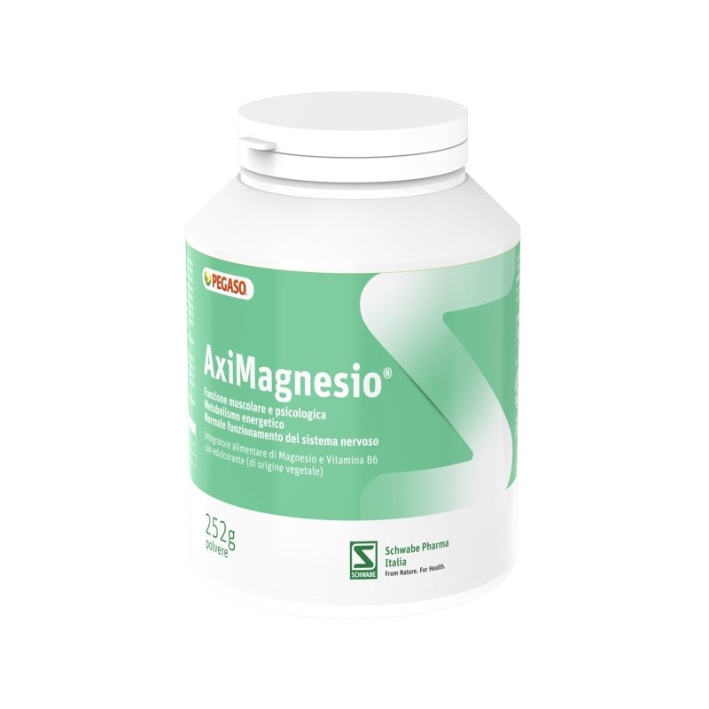 Aximagnesio polvere 252 g