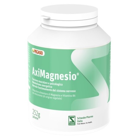 Aximagnesio polvere 252 g