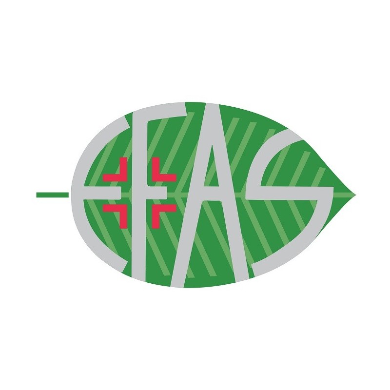 Ha100 acido ialuronico 100% 30 ml