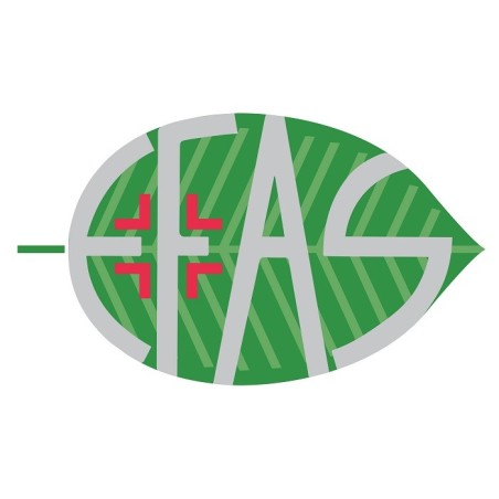 Ha100 acido ialuronico 100% 30 ml