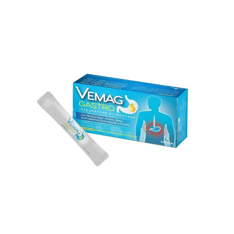 Vemag gastro 20 stick