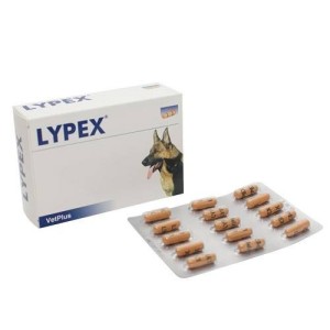 Lypex 60 capsule