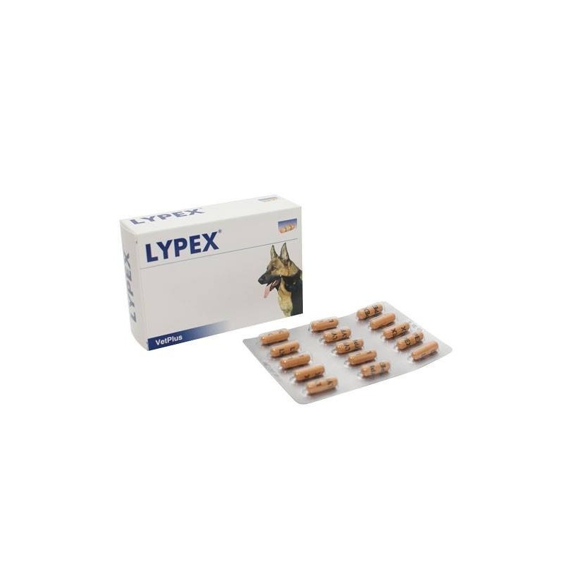 Lypex 60 capsule