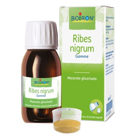 Ribes nigrum estratti di piante boiron mg 60 ml Ribes nigrum estratti di piante boiron mg 60 ml