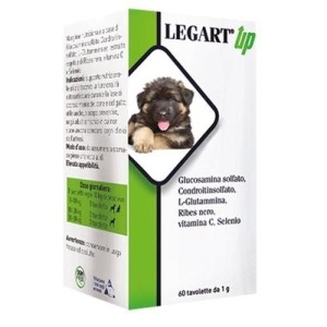 Legart up 120 compresse