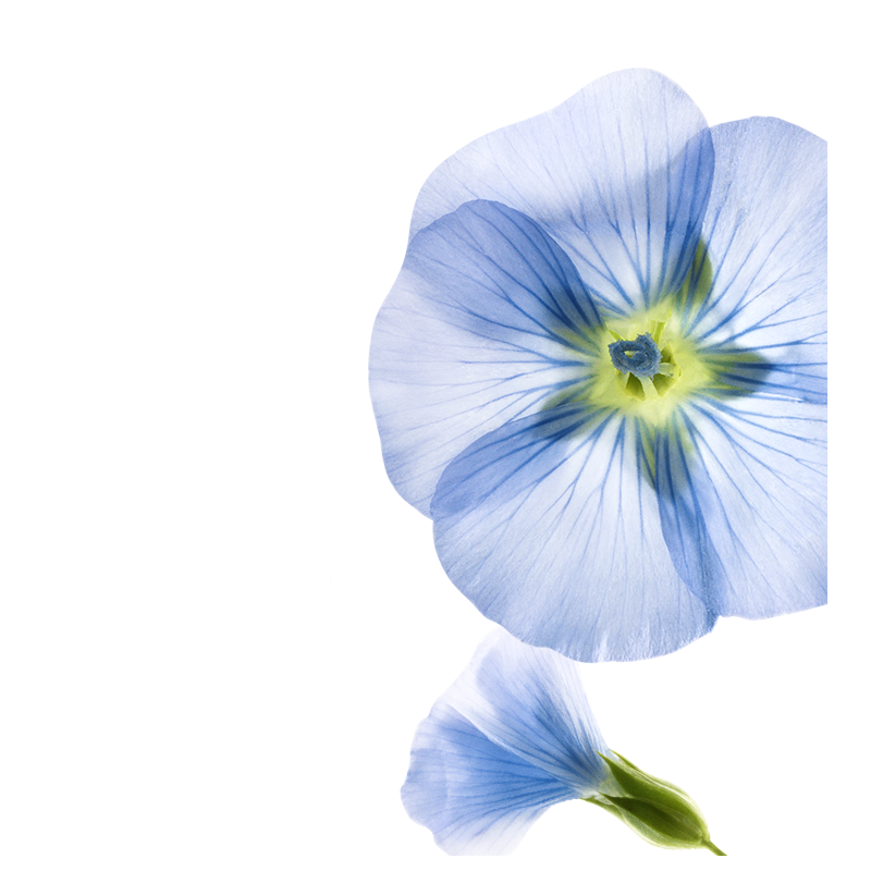 Klorane shampoo secco lino 150 ml