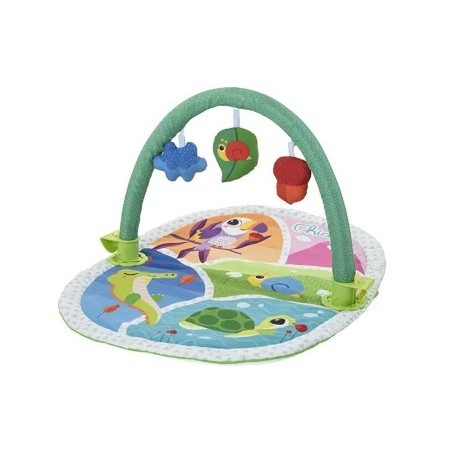 Chicco palestrina delle attivit