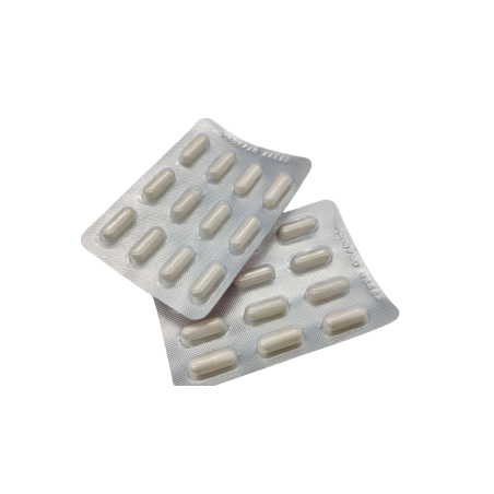 Rotanelle plus 24 capsule