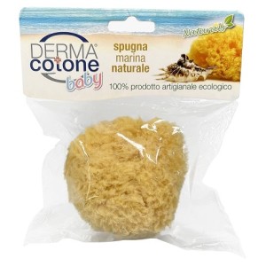 Dermacotone spugna marina