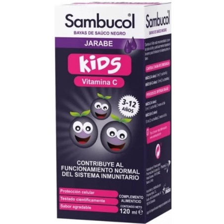 Sambucol soluzione da bere kids 120 ml Sambucol soluzione da bere kids 120 ml