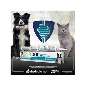 Simbidol asset pasta 15 g siringa multirazione