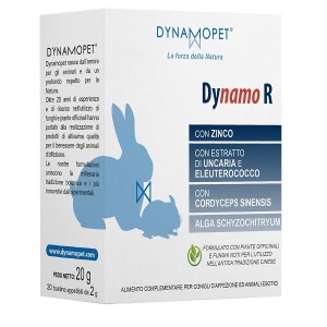 Dynamo r 20 bustine da 2 g