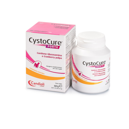 Cystocure forte pasta 15 ml