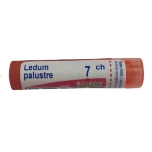 Ledum palustre boiron 80 granuli 7 ch contenitore multidose