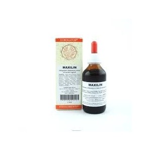 Maxilin gocce 100 ml