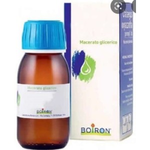 Rosmarinus officinalis 60 ml macerato glicerico