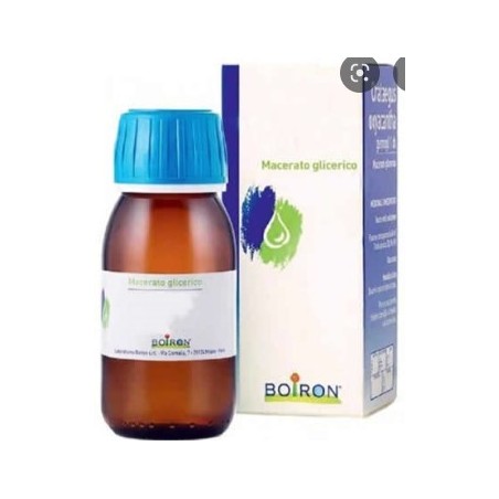 Rosmarinus officinalis 60 ml macerato glicerico