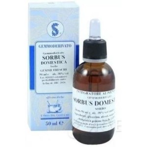 Sorbus domestica 60 ml macerato glicerico