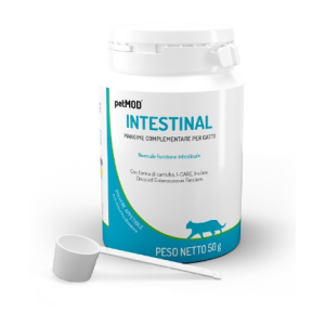Petmod intestinal gatto polvere 50 g