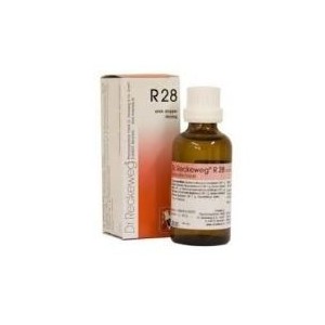 Reckeweg r28 gocce 22 ml
