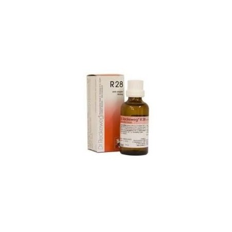 Reckeweg r28 gocce 22 ml