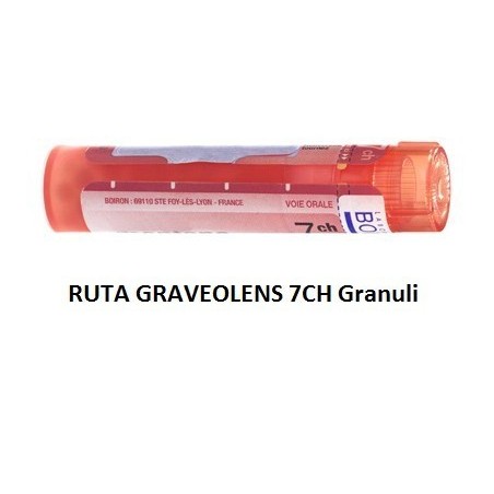 Ruta graveolens boiron 80 granuli 7 ch contenitore multidose