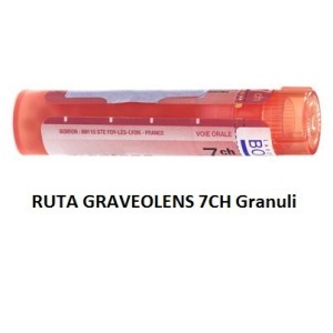 Ruta graveolens boiron 80 granuli 7 ch contenitore multidose